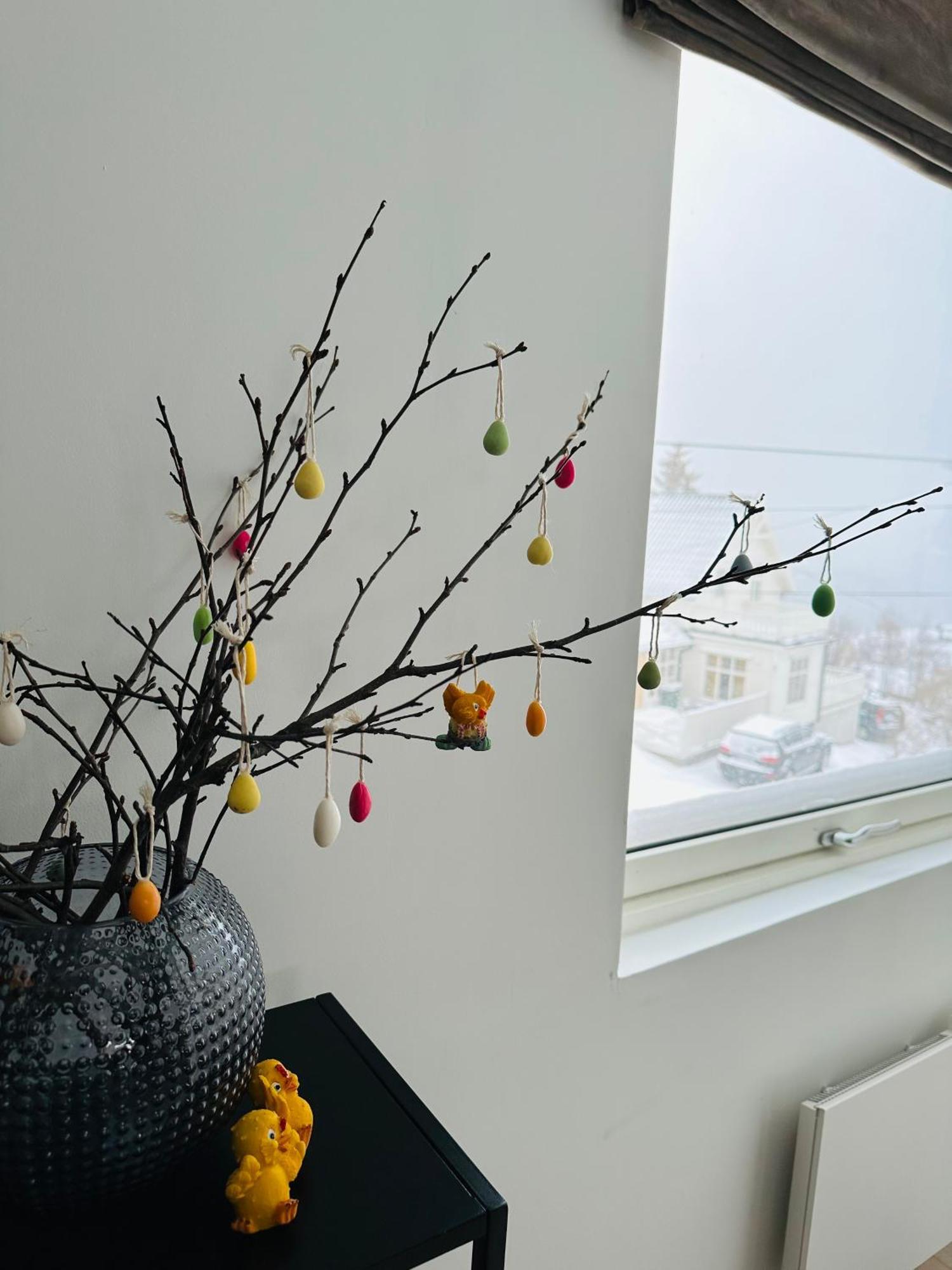 Apartament Arctic Loft Skjervoy Zewnętrze zdjęcie