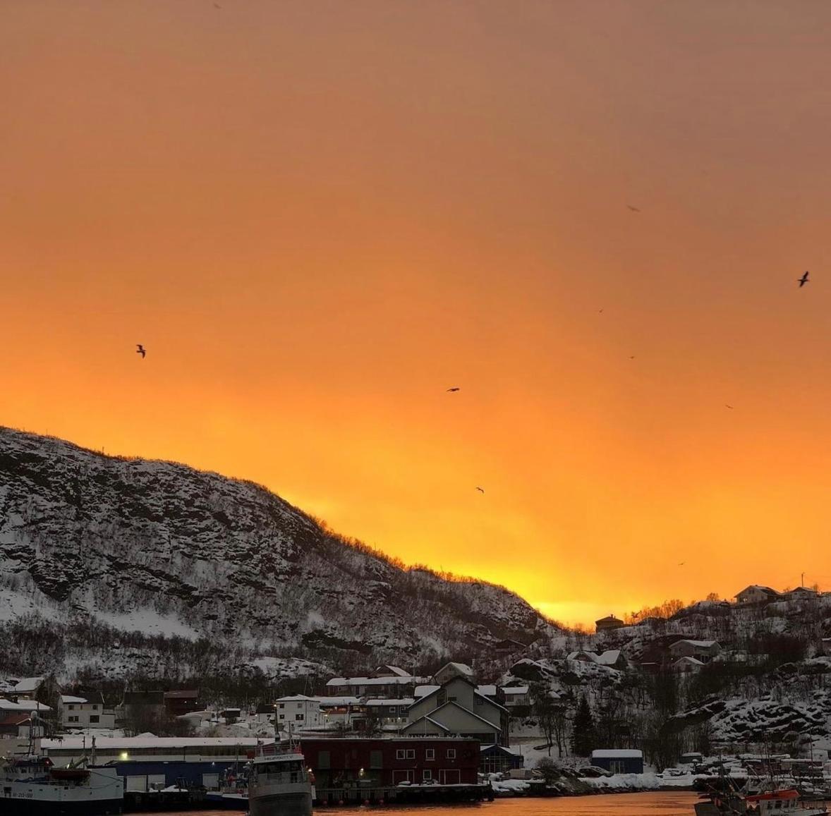 Apartament Arctic Loft Skjervoy Zewnętrze zdjęcie
